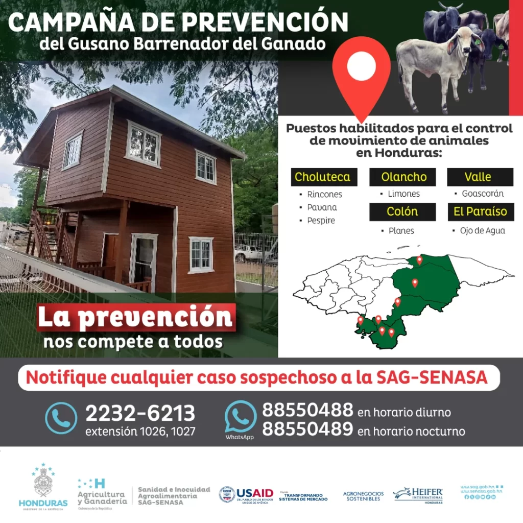 Campaña de Prevención del Gusano Barrenador del Ganado en Honduras. Notifica casos sospechosos al SAG-SENASA. La prevención es responsabilidad de todos