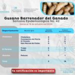 Se contabilizan 19 casos de Gusano Barrenador del Ganado en Honduras